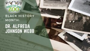 BHM Dr. Webb