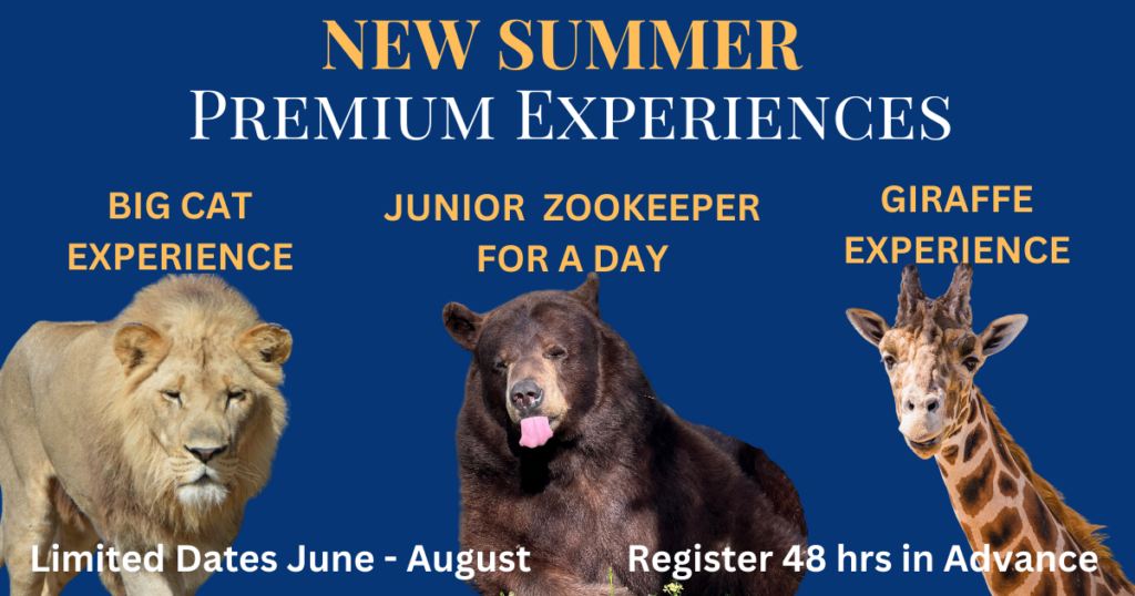 premium animal experiences at alabama gulf coast zoo