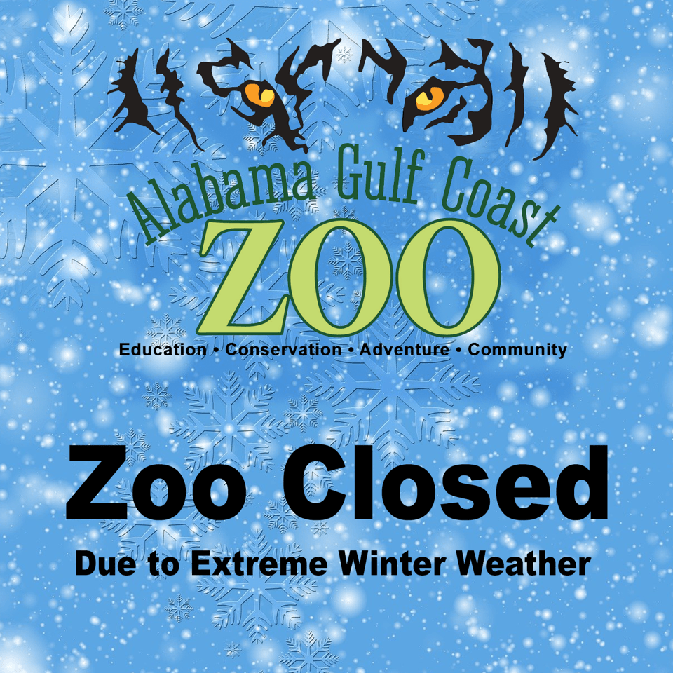 Zoo Closed - Winter Weather- General