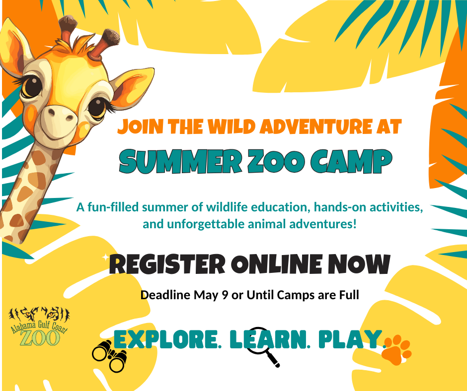 Zoo Camp Social Post